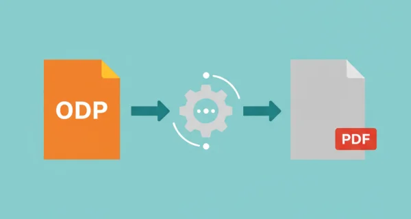 Preserve Slide Design